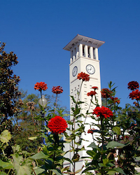 Faculty Portal